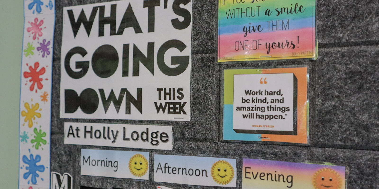 IMG 4655